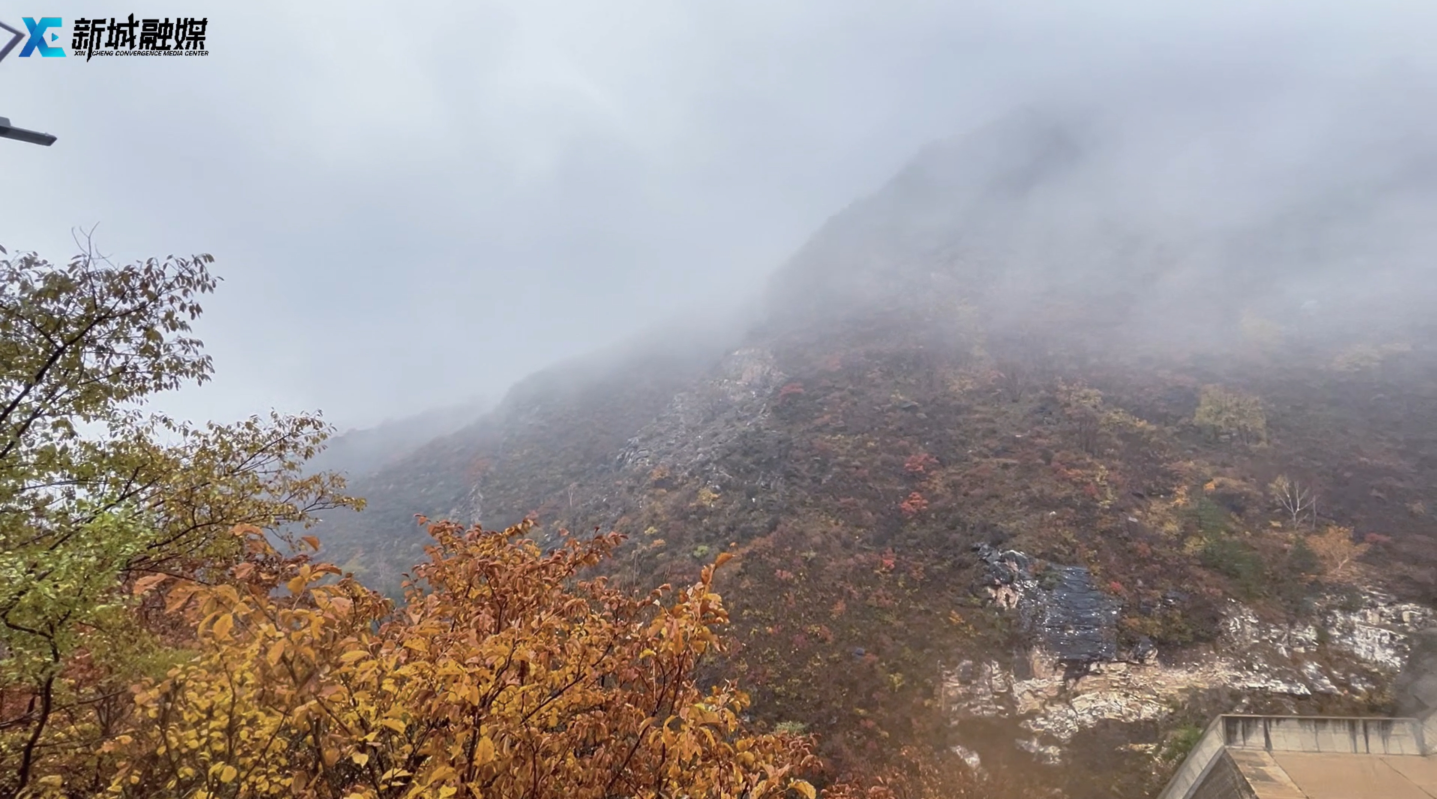 雨中青山